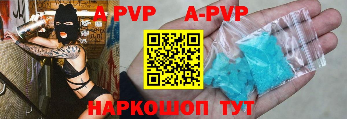A-PVP СК Губкинский