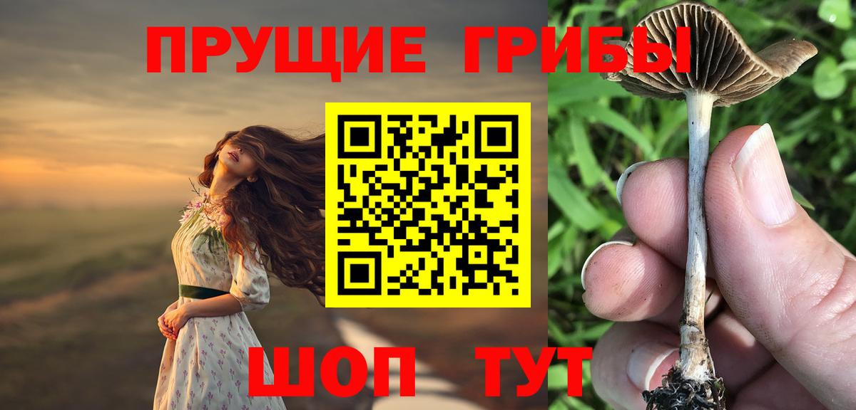 закладки  Вход с VPN  Губкинский  Псилоцибиновые грибы прущие грибы 